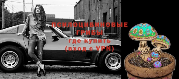 прущая мука Белокуриха
