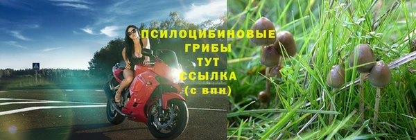 винт Беломорск